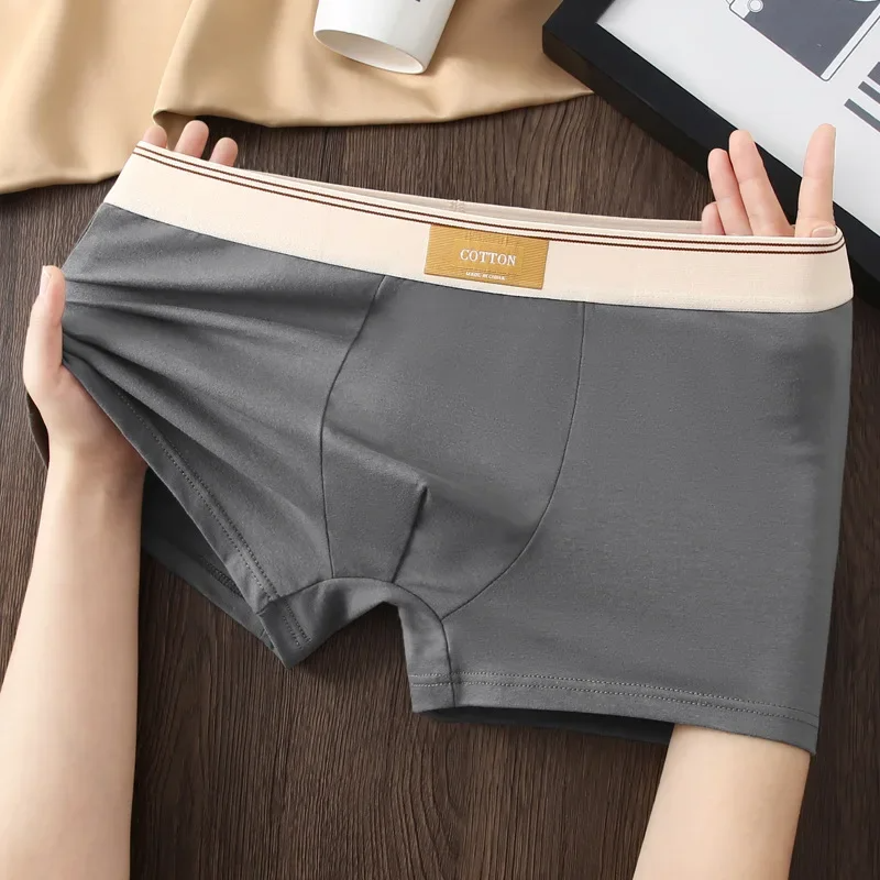 Katoenen Boxershorts Theory